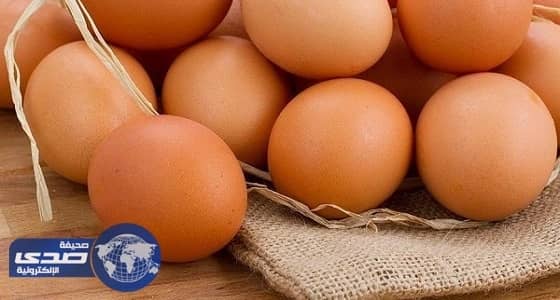 الدنمارك ضحية جديدة لأزمة البيض الملوث في أوروبا