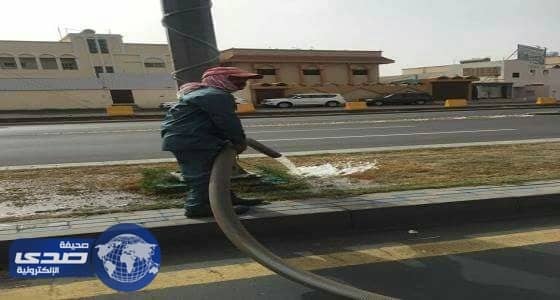 أهالي أحد رفيدة: استخدام الصهاريج الكبيرة في ري الأشجار يعرضنا للخطر