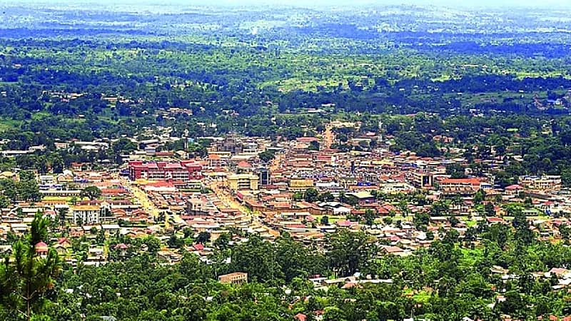 فيل يُنهي حياة سعودي خلال رحلة سفاري في أوغندا