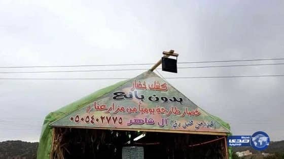 شاهد بالصور.. مواطن يفتح كشك خضار بدون بائع ويكتب فيه "وكان الله على كل شيء رقيباً"