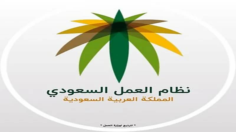 التأمينات الاجتماعية توضح وضع الورثة الإناث بعد زواجهن