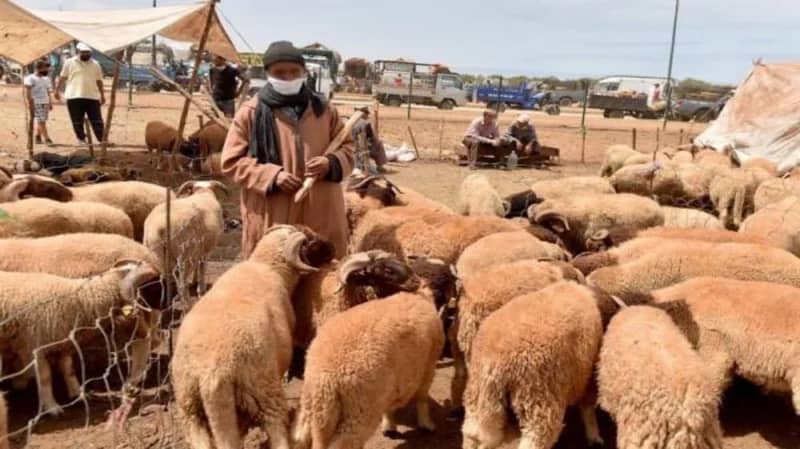رجل يقتل زوجته بسبب أضحية العيد