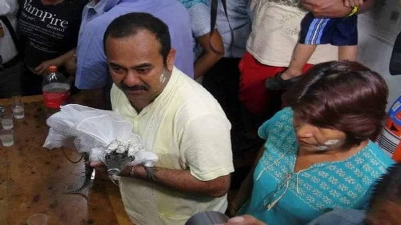 بالصور.. عمدة يتزوج من تمساح صغير