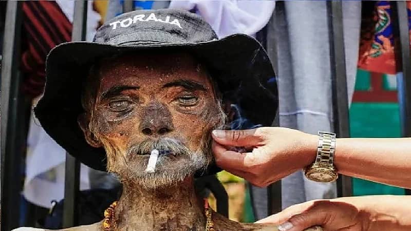 بالصور.. عائلات تخرج جثث أقاربهم من القبور للاحتفال معهم