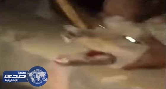 النائب العام: عُرِف عن هذه البلاد حُبُّ كتاب الله والعمل به وتحكميه