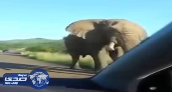 حصيلة هجوم الفلبين تصل لـ 34 حالة وفاة