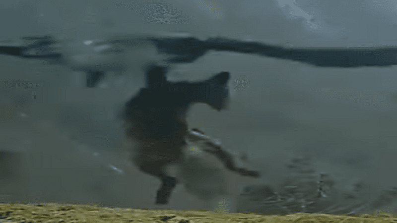 شاهد.. نسر ينتشل ذئبا ضخم ويطير به في أجواء عاصفة