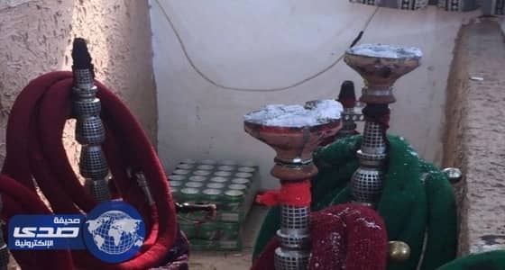 بالفيديو.. مشهد جميل للمطر والربيع في وادي الفرع بجنوب المدينة