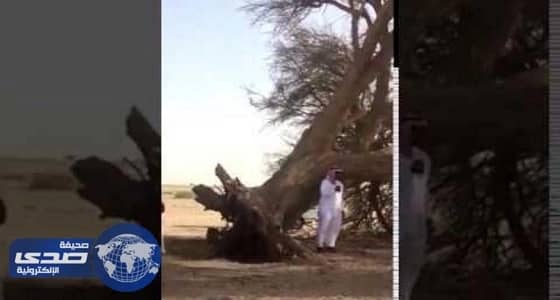 بالفيديو.. تدمير منزل وإصابة شخص بحروق في انفجار " سخان مياه "