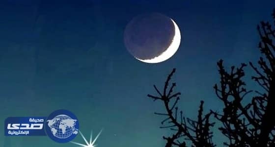 الرياضة تلاحق مغرد أساء لـ " آل الشيخ "