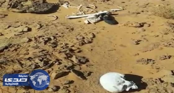 بالفيديو.. شخص يتلف سيارة حديثة في المدينة المنورة