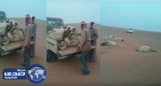 بالفيديو.. فتاة ترقص داخل الجامعة