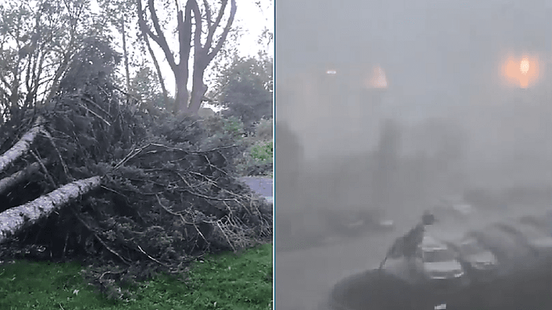 شاهد.. عواصف عنيفة في كندا تؤدي لمقتل 4 أشخاص