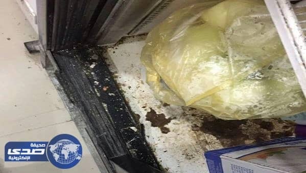 الصراصير تغلق مطعم ومخبز في بقيق