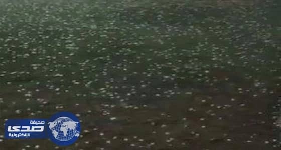 بالفيديو.. نشطاء يوثقون هطول زخات البرد و أمطار الرياض