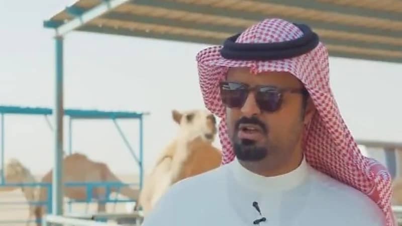 قصة الإبل التي أصابها العمى وطريقة علاجها.. "فيديو" 