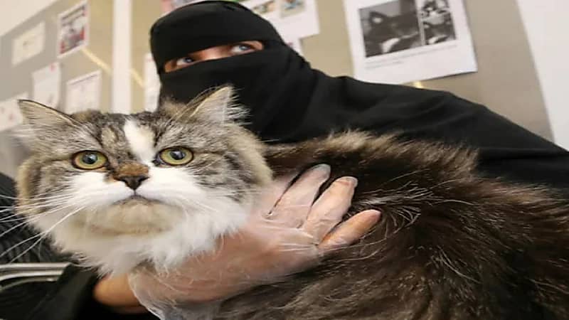 معرض للحيوانات الأليفة للمرة الأولى بالرياض