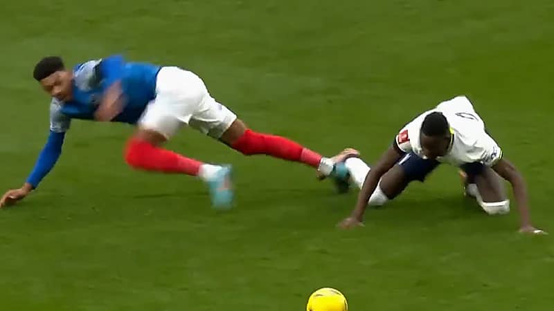 لقطة طريفة في مباراة بورتسموث وتوتنهام (فيديو)