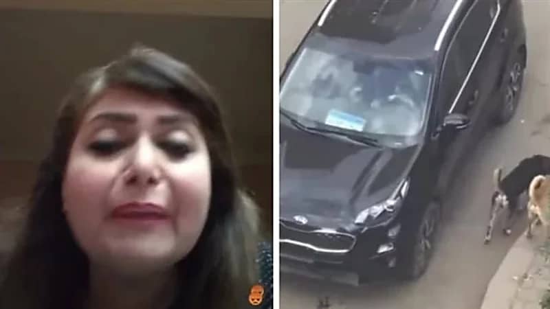 الراقصة هندية: رميته وأنا حرة 