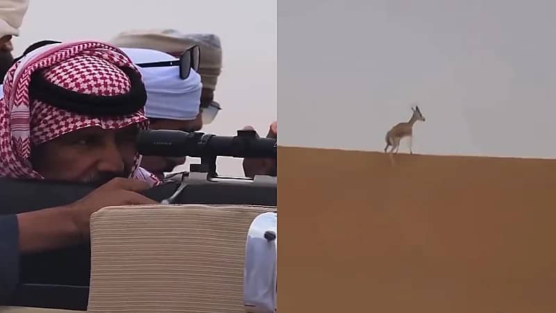 فيديو..لحظة اصطياد الفنان خالد عبد الرحمن لغزالٍ