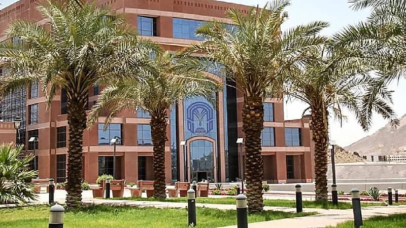 جامعة طيبة تحذر من حسابات تدعي ضمان عملية القبول بها