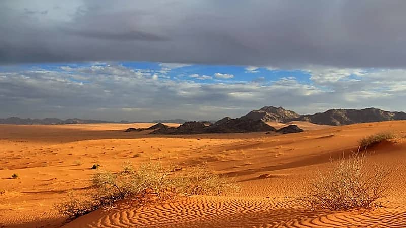 تحويل جزء من صحراء النفود الكبير لمحمية فلكية