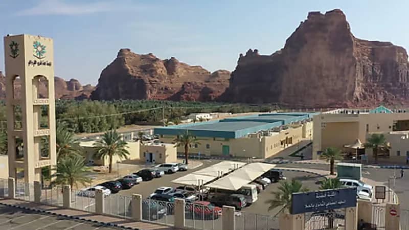 طرح 100 وظيفة في ملتقى التوظيف بالعلا