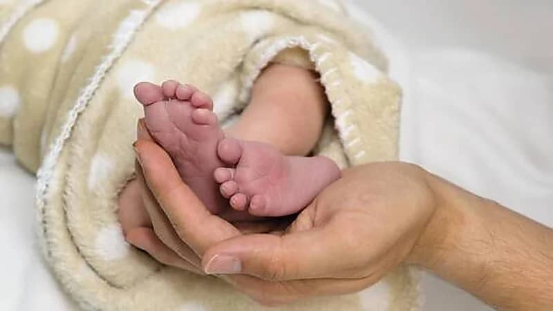 سويسرا تحذر من انخفاض أعداد المواليد