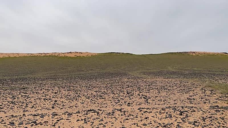 القبض على مواطن لارتكابه مخالفة الصيد بمحمية الملك عبدالعزيز