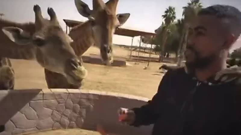 مالكوم يستمتع بإجازته في إحدى حدائق الحيوان .. فيديو