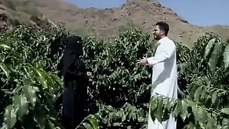 سارة المالكي: من ترك الوظيفة إلى سيدة أعمال بعد إحياء مزرعة أجدادها  ..  فيديو