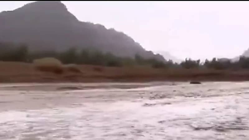 العقيل: استمرار الحالة المطرية حتى صباح يوم غد ..فيديو