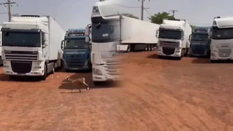 غموض يحيط بمصير سائقين مغاربة موقوفين في مالي ودعوات لإنقاذهم