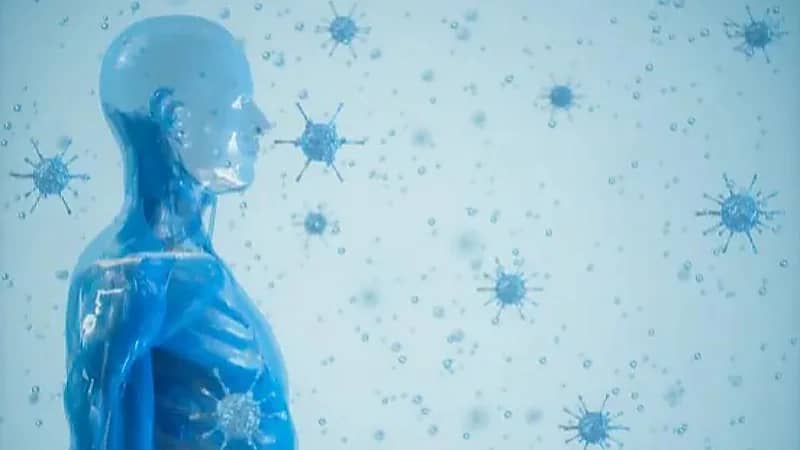 اكتشاف أبراج مراقبة للجهاز المناعي تحمي الجسم من الجراثيم