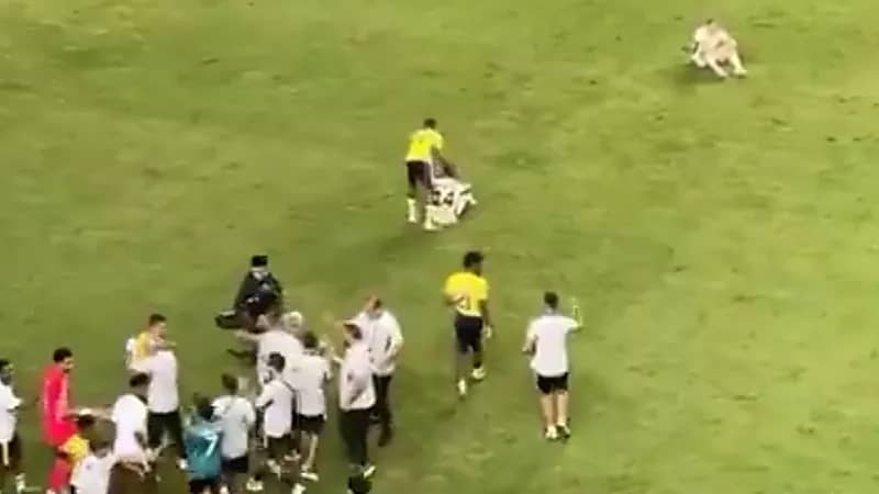 الجماهير تقتحم الملعب لالتقاط صور مع رونالدو .. فيديو