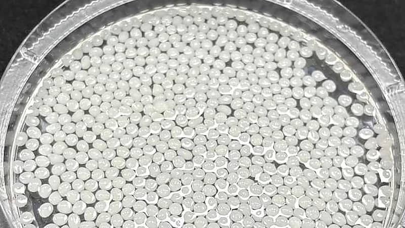 اكتشاف صيني: خرزات نباتية تساعد على إنقاص الوزن