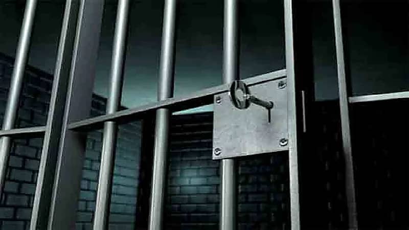 WhatsApp Image 2025-09-21 at 5.10.27 PM.jpeg