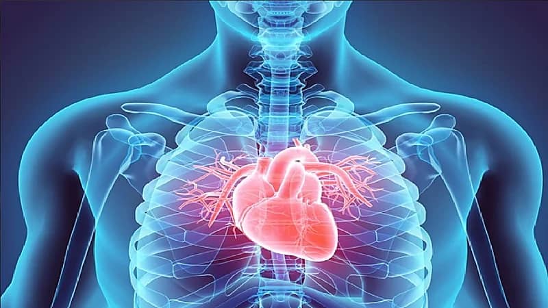 WhatsApp Image 2025-09-30 at 11.03.27 PM (1).jpeg