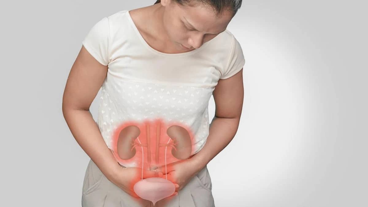 WhatsApp Image 2025-10-06 at 11.55.46 AM.jpeg