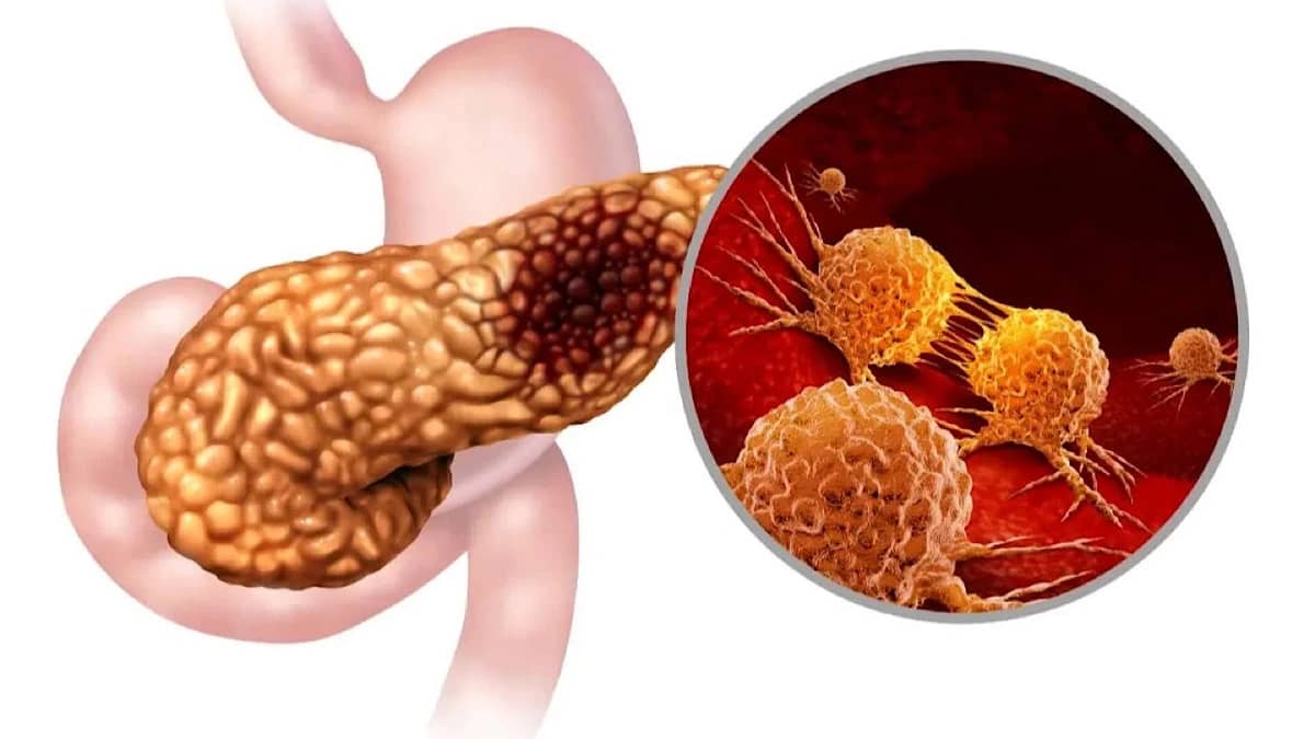 WhatsApp Image 2025-10-09 at 12.18.51 PM.jpeg