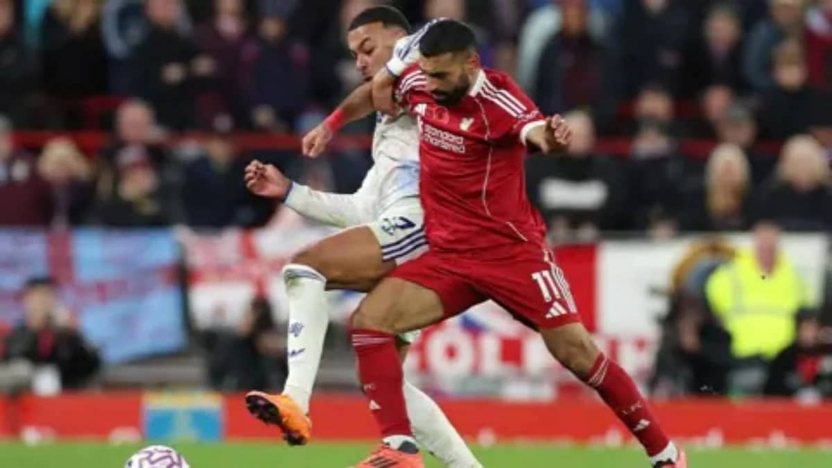 WhatsApp Image 2025-11-02 at 2.27.08 AM (2).jpeg