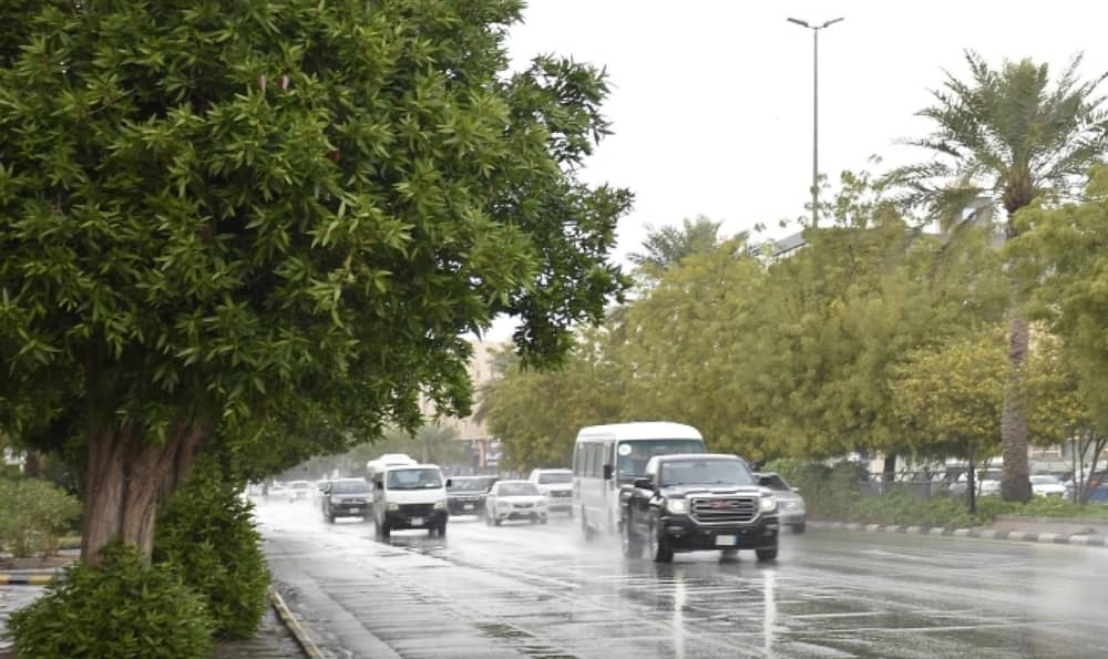 WhatsApp Image 2025-12-19 at 3.29.15 PM.jpeg