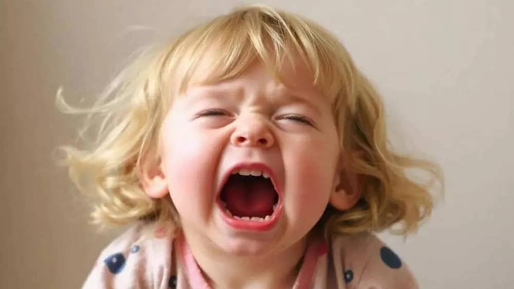استشاري يوضح الفرق بين نوبات الغضب الطبيعية لدى الأطفال وخلل التنظيم الانفعالي .. فيديو