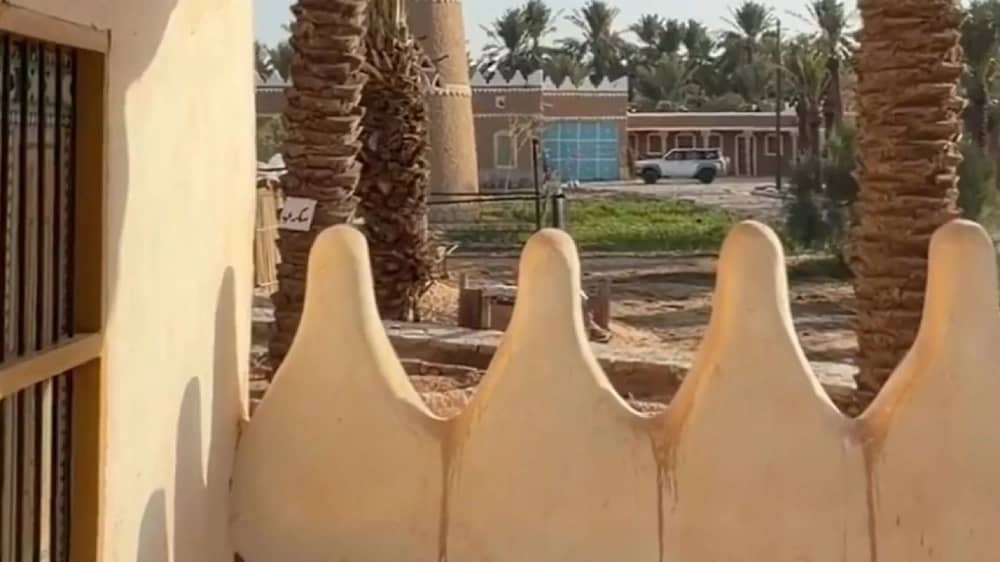 الزعاق: نقترب من شباط الذي يتميز بنشاط الرياح .. فيديو