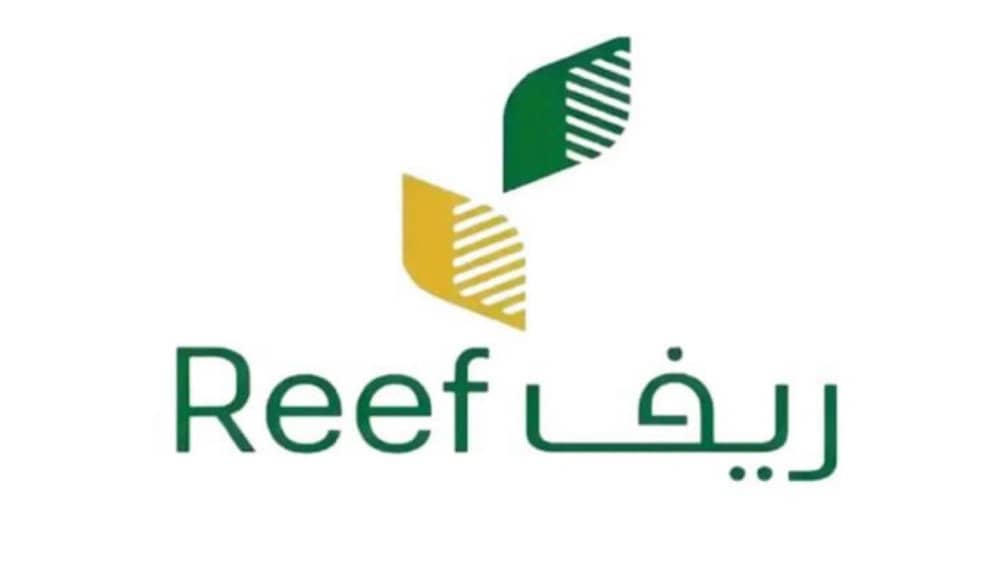 شركة ريف توفر وظائف شاغرة