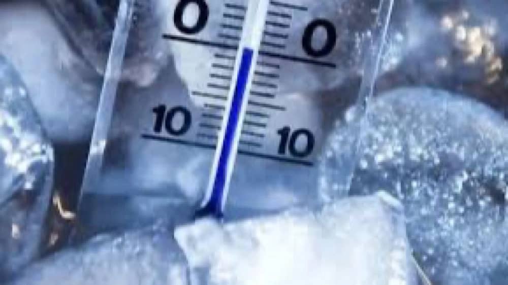 WhatsApp Image 2026-01-11 at 6.41.39 PM.jpeg