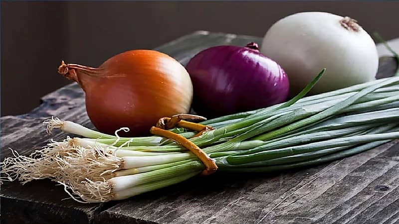 بالفيديو .. مختص: لا يوجد دراسة علمية تؤكد بأن البصل يكافح مرض الإنفلونزا