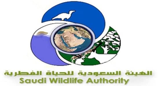 سقوط طائرة تابعة لـ " الحياة الفطرية " في تيماء