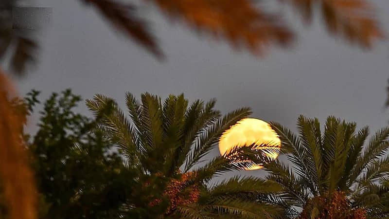 القمر الأزرق العملاق يزين سماء المملكة..صور