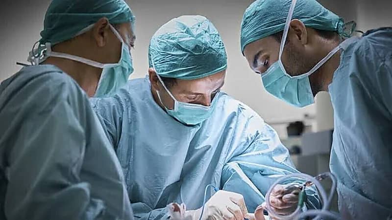 عملية جديدة لزرع كليتي خنزير في إنسان